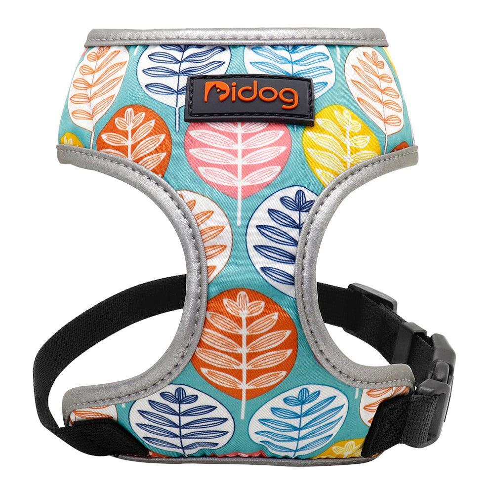 Dog Hugs Cat ComfortFit Nylon Harness & Leash Set - Breathable Adjustable Harness for Cats & Small Dogs - Pets Perfect