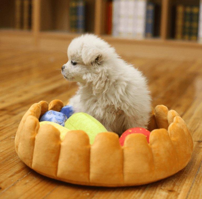 Cozy Fruit Tart Pet Bed - A Sweet Retreat For Your Furry Friends - Pets Perfect