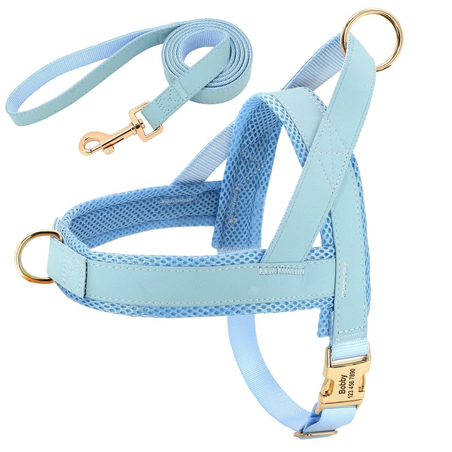 Customizable No-Pull Dog Harness and Leash Set - Complete Walking Solution