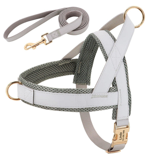 Customizable No-Pull Dog Harness and Leash Set - Complete Walking Solution