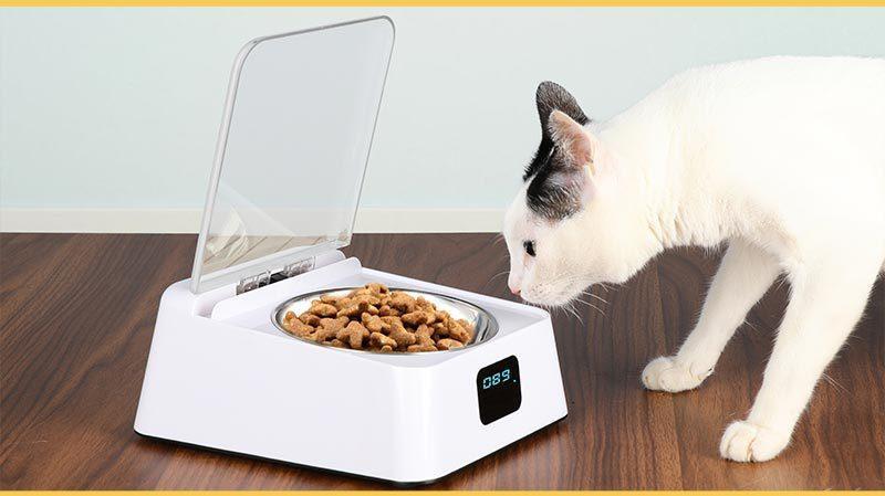 Smartpaws Automatic Moisture-Proof Pet Feeder