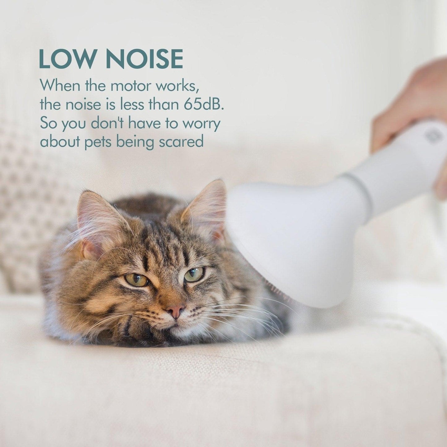 Dadypet 2-in-1 Hair Dryer & Slicker Brush - Professional Grooming Tool