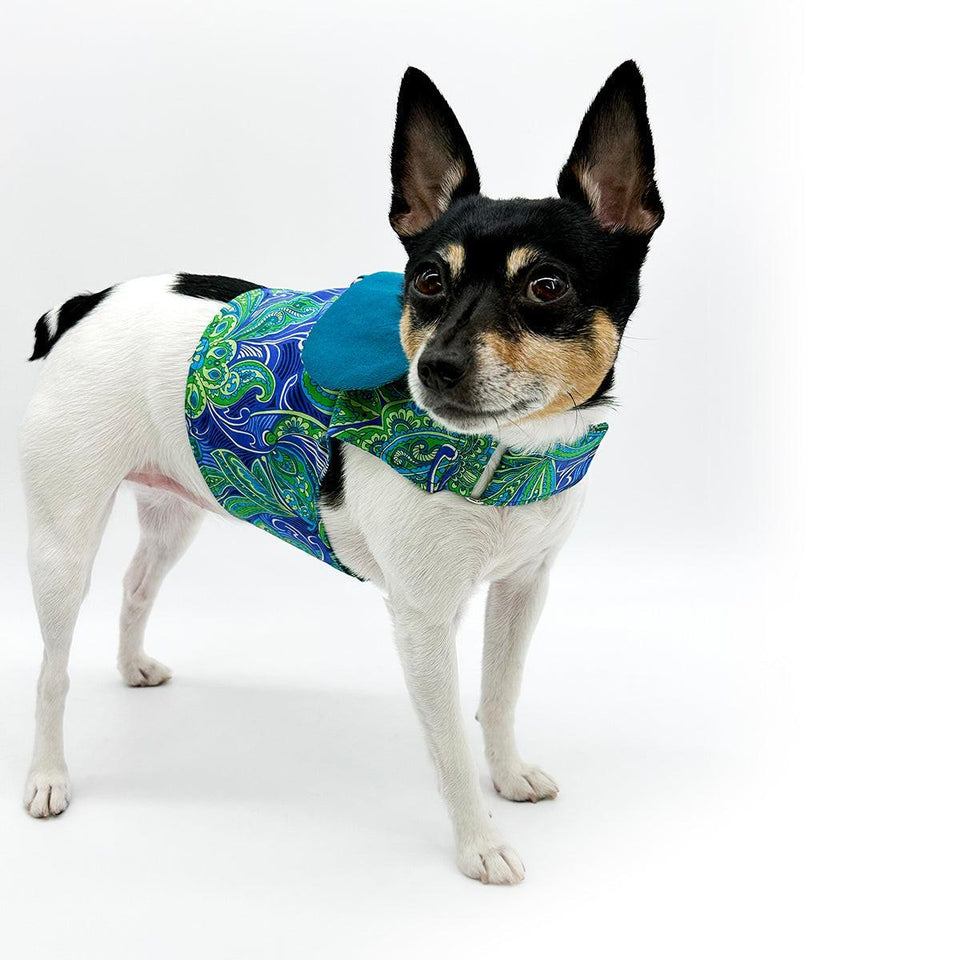 DCNY “Paisley Paws" Dog Harness Vest, XS, view 2