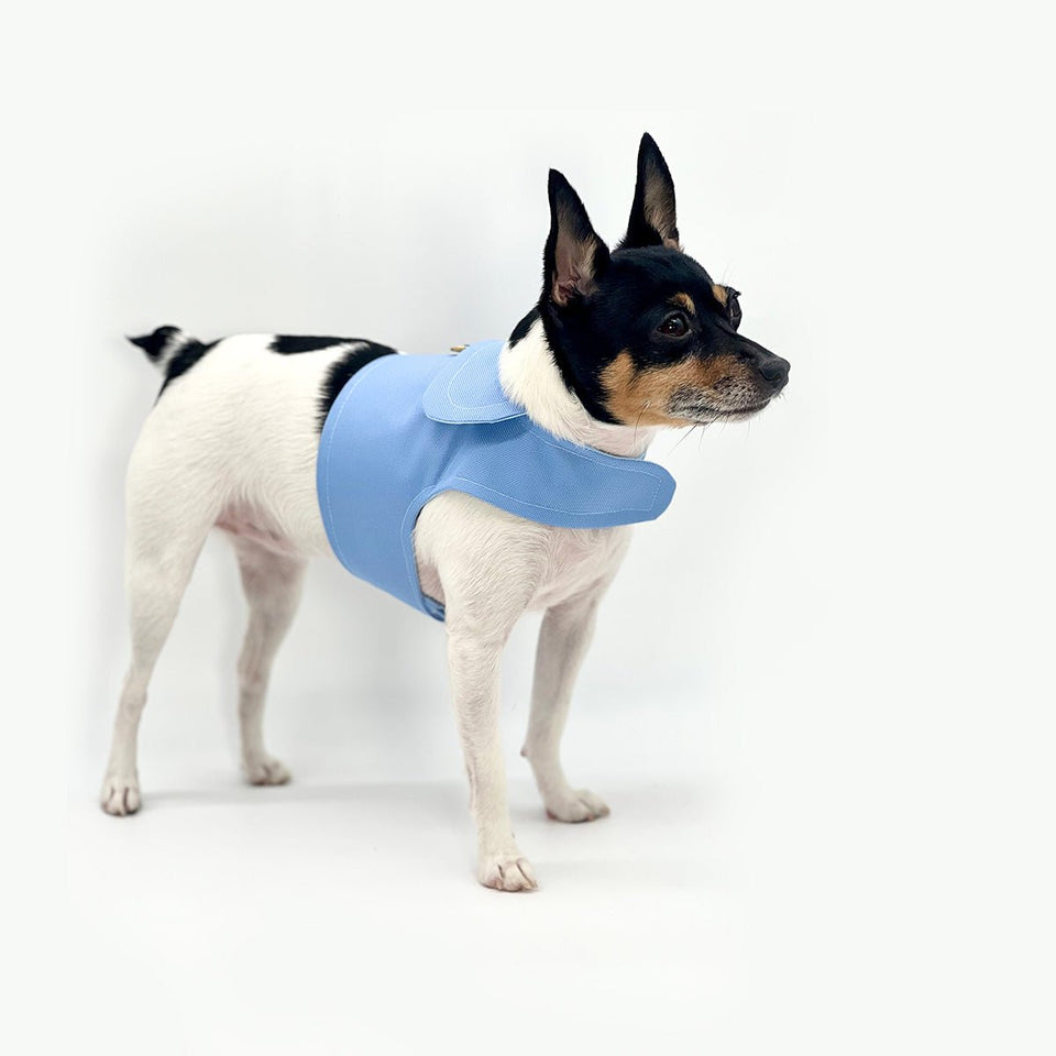 DoggieCoutureNY Periwinkle Canvas Harness Vest, view 5