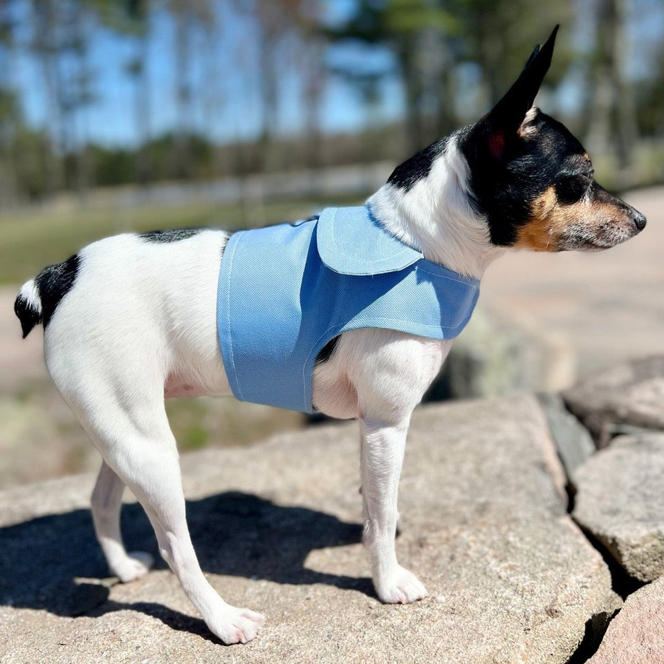 DoggieCoutureNY Periwinkle Canvas Harness Vest, XS, view 2