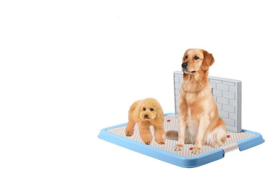 Dog Toilet Puppy Dog Supplies Teddy Dog Urinal Potty Golden Hair Puppies - Pets Perfect