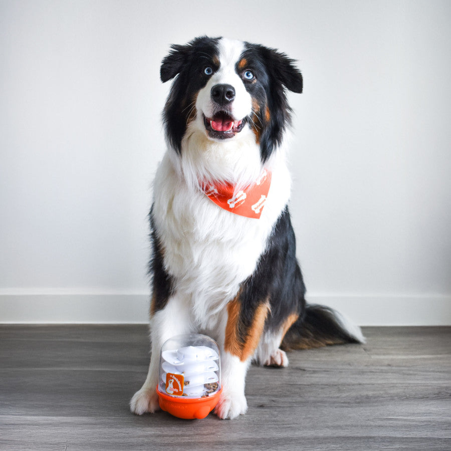Nylabone Boop N Bobble Puzzle Treat Dog Toy