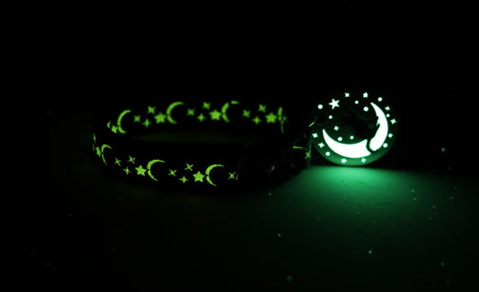 Gold Moons and Stars on Royal Blue Cat Collar
