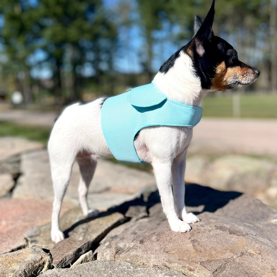 DoggieCoutureNY Aqua Canvas Harness Vest, MD, view 4