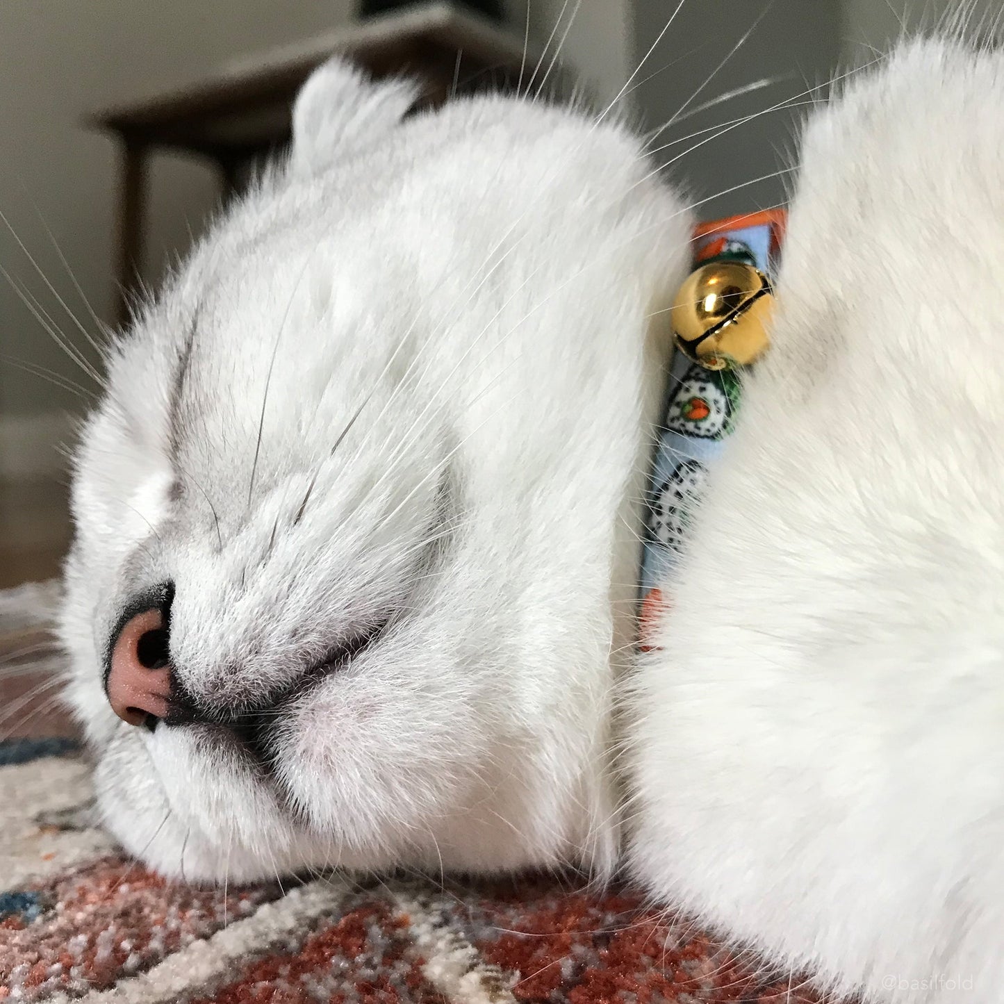 Coastal Safe Cat Fashion Adjustable Breakaway Cat Collar-Sushi, view 3