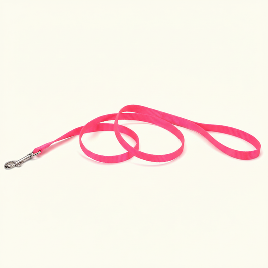 Neon Pink Dog Leash - Uniform Off-White Background