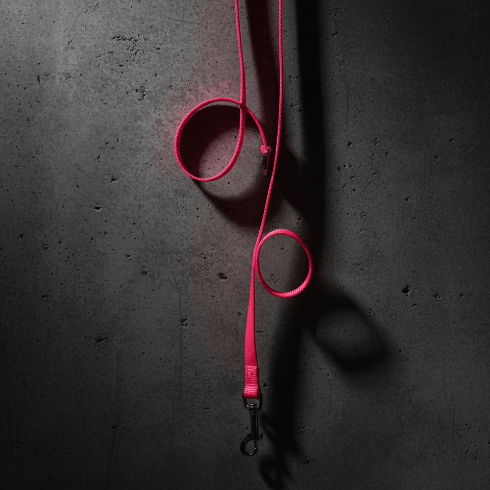 Coastal SinglePly Nylon Dog Leash Neon Pink, 3/4 in x 6 ft, view 2