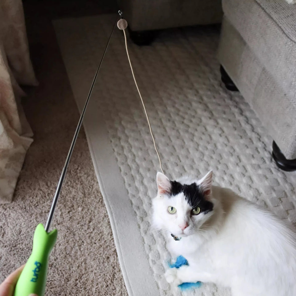 Bergan Turbo Telescoping Wand with LED Pointer Cat Toy, view 6