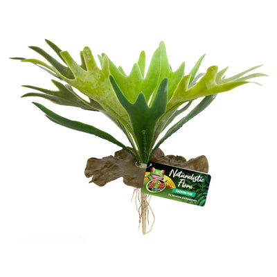 Zoo Med Naturalistic Flora Staghorn Fern Terrarium Plant, Green, Brown