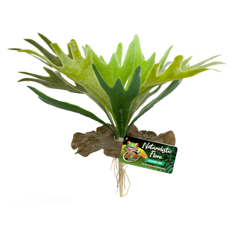 Zoo Med Naturalistic Flora Staghorn Fern Terrarium Plant, Green, Brown