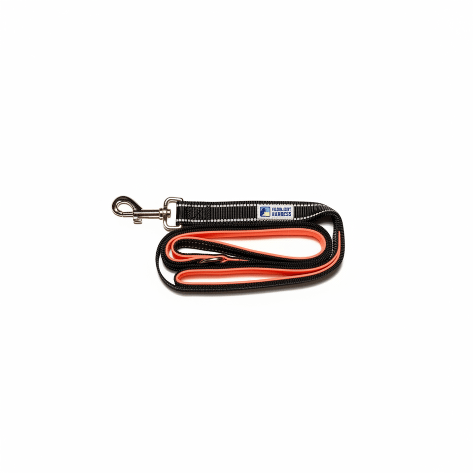 Headlight Dog Harness Double Handle Reflective Dog Leash, 6 ft, view 6