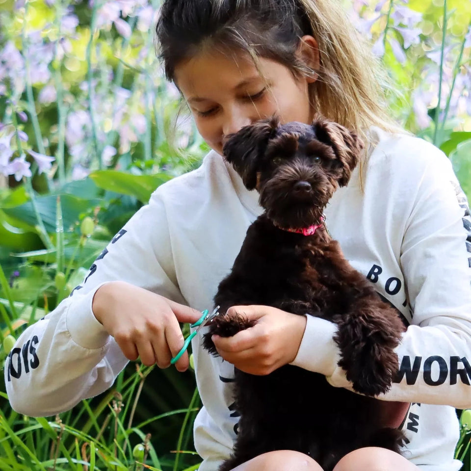 Girl trimming a puppy's nail with green-handled nail scissors outdoors