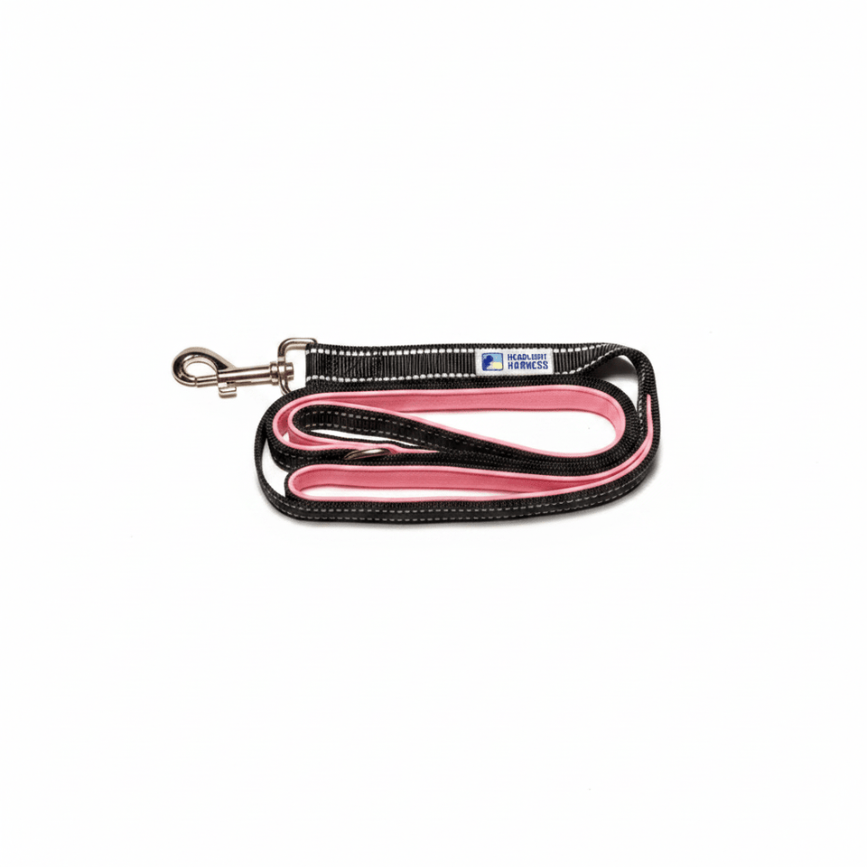 Headlight Dog Harness Double Handle Reflective Dog Leash, 6 ft, Purple/6FT, view 3