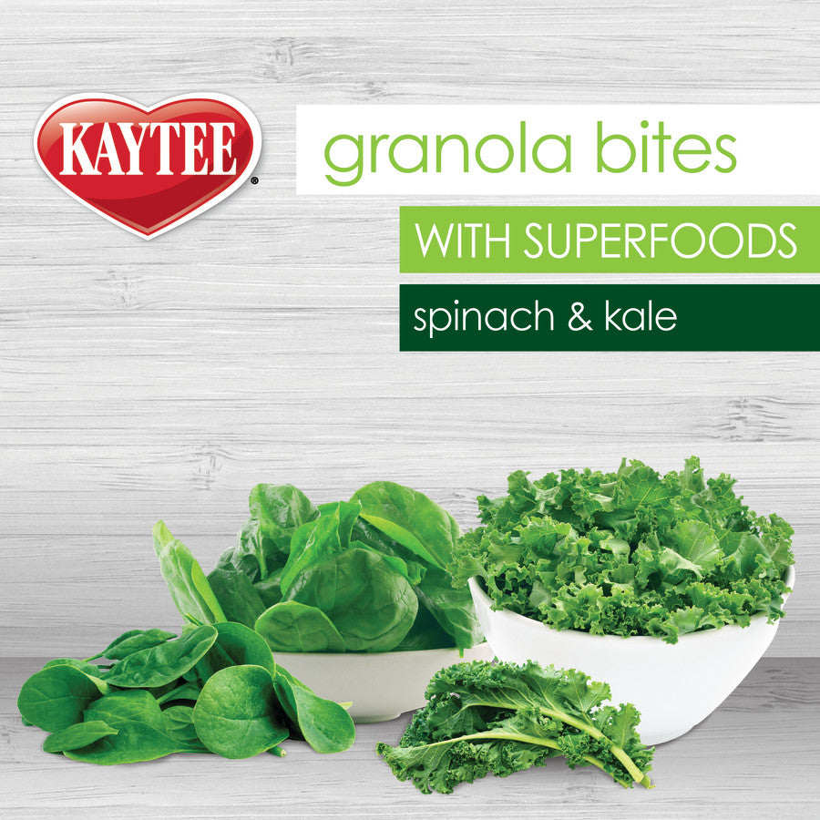 Kaytee Granola Bites Spinach and Kale 1ea/4.5oz