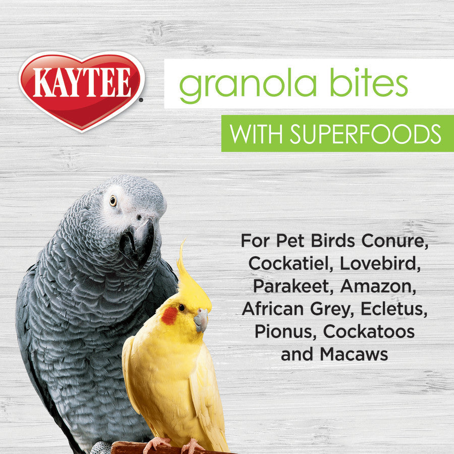 Kaytee Granola Bites Spinach and Kale 1ea/4.5oz