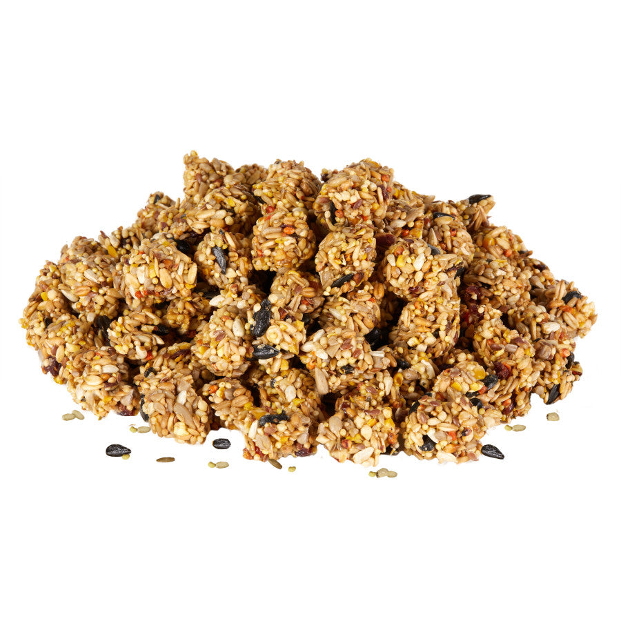 Kaytee Granola Bites with Superfoods Cranberry, Apple and Flax, 4.5 oz