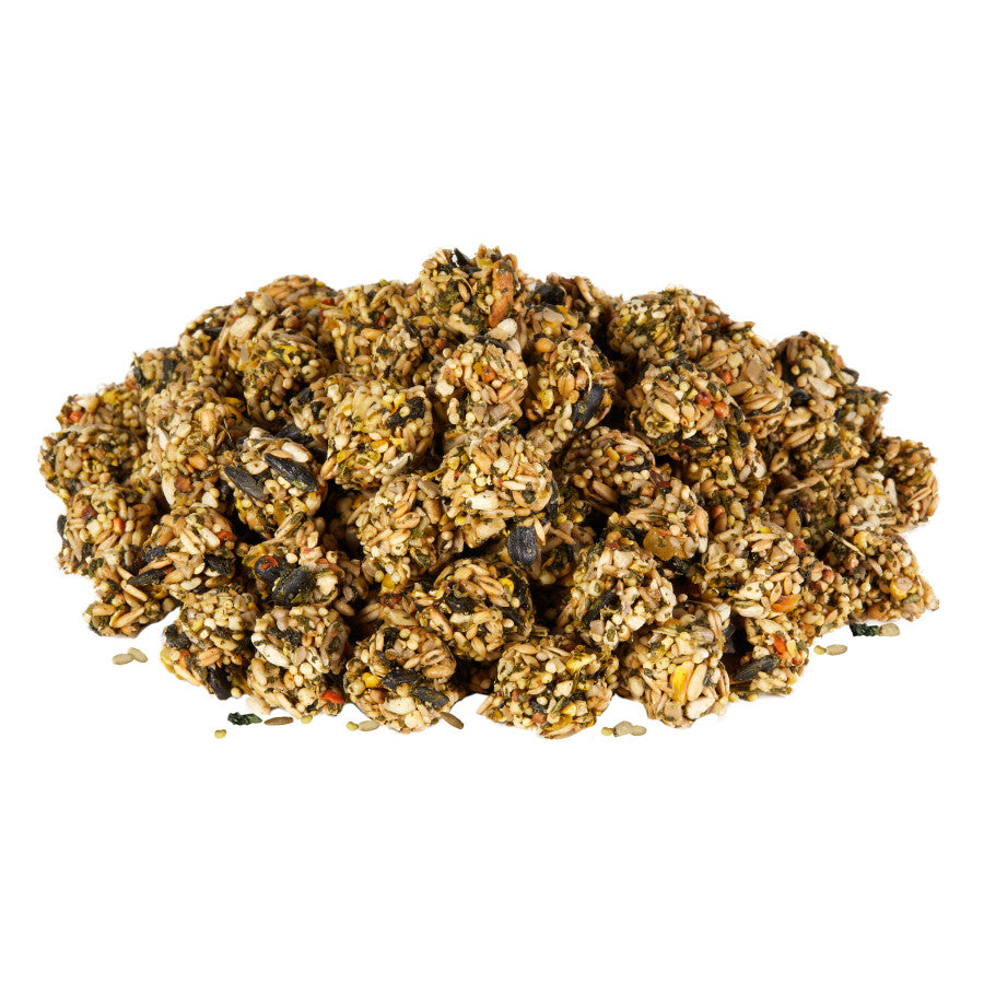 Kaytee Granola Bites with Superfoods Spinach and Carrot, 4.5 oz
