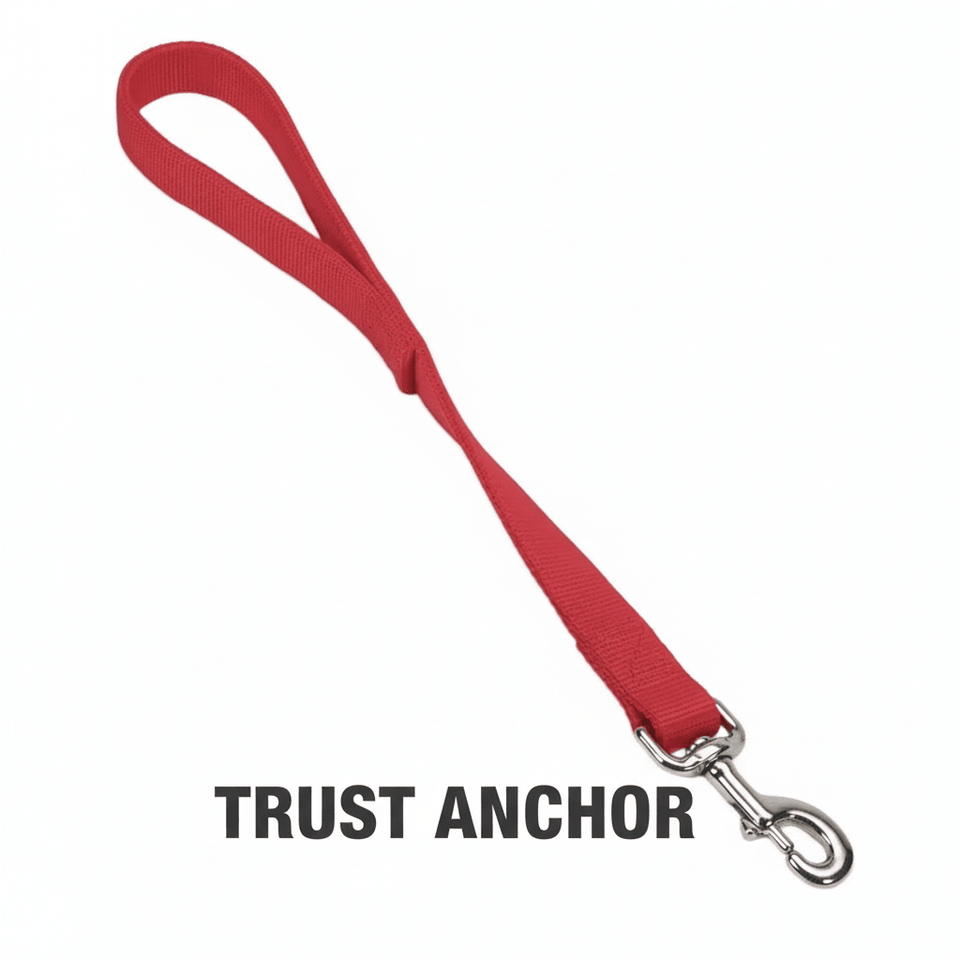 Coastal DoublePly Nylon Traffic Dog Leash Red, 1 in x 24 in, view 3