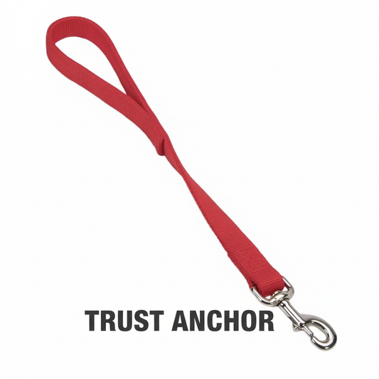 Trust Anchor