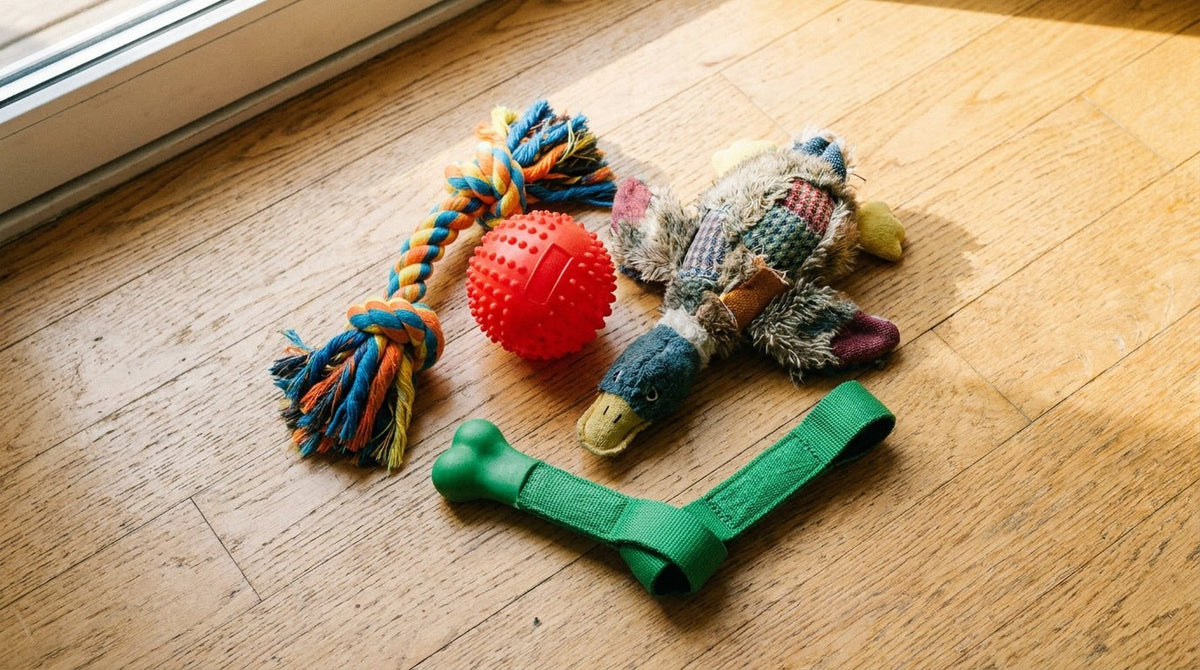 Dog Toys: How to Choose the Right Ones for Your Dog - Pets Perfect