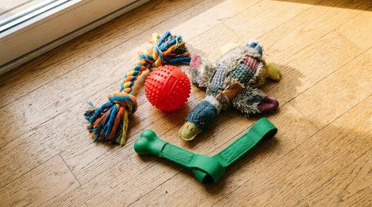 Dog Toys: How to Choose the Right Ones for Your Dog - Pets Perfect