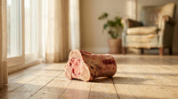 Dog Bones: The Honest Safety Picture Before You Buy