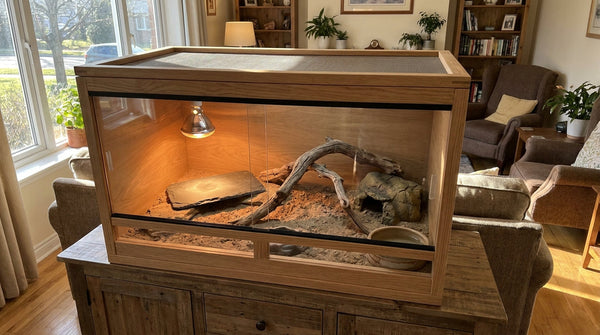 A warmly lit desert-style reptile terrarium with a basking branch, stone hide, and overhead heat lamp