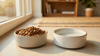 Is Dry Food Bad for Cats? The Honest, Hydration-First Answer