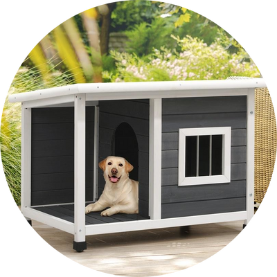 Outdoor Dog Houses