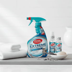 Cat Cleaning & Odor Control