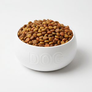 Dry Dog Food