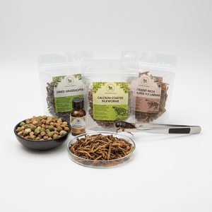 Reptile Food & Feeding Essentials