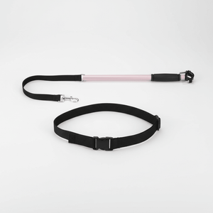 Hands-Free Dog Leashes