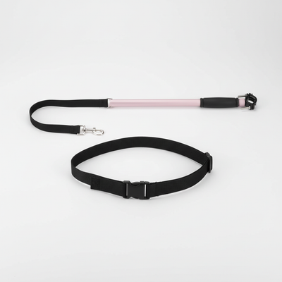 Hands-Free Dog Leashes