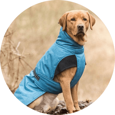 Dog Coats
