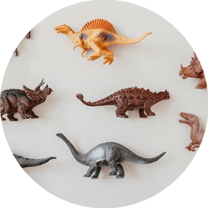 Reptile Toys & Enrichment