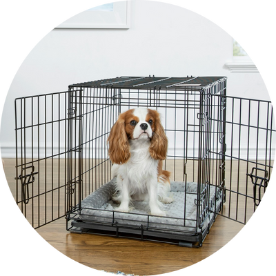 Crates, Kennels & Accessories