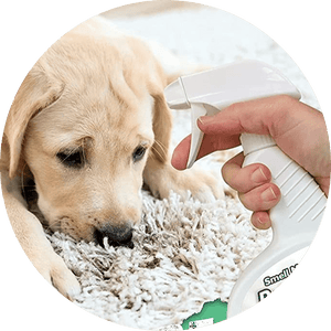 Dog Odor Eliminators & Cleaners
