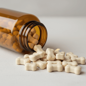 Dog Calm & Anxiety Supplements