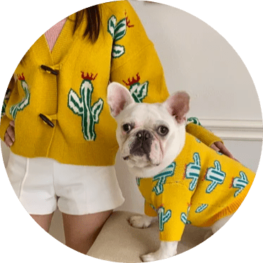 Matching Pet & Owner Apparel