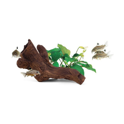 aquavitro Ceramic Hides Aquatic Ornament B2 - Pets Perfect