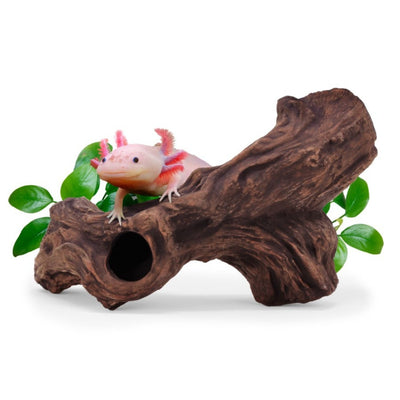 aquavitro Ceramic Hides Aquatic Ornament B3, 1ea/One Size