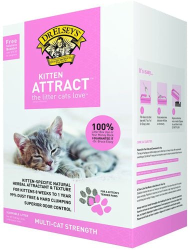 Precious Cat Attract Kitten 20Lb - Pets Perfect