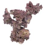 CaribSea LifeRock Nano Tree 1ea/18 in - Pets Perfect