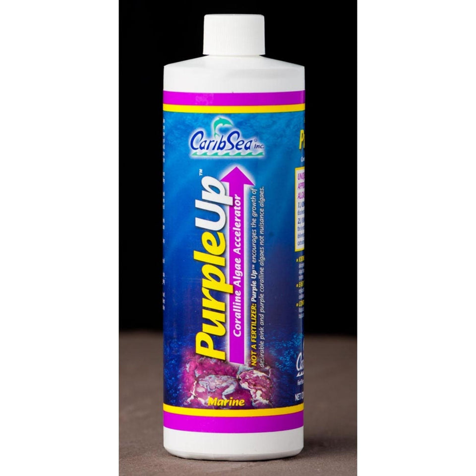 CaribSea PurpleUp Coralline Algae Accelerator 1ea/16 floz. - Fish Water Care